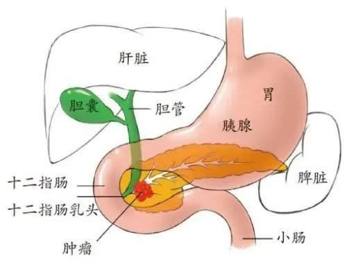 微信图片_20230404101100.jpg